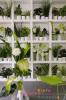 Botanical energy  -  Zielona energia by Biuro Kwiatowe Holandia